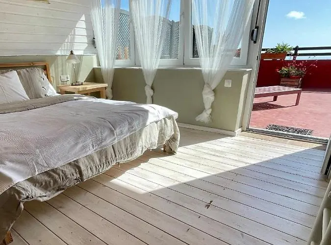 Sansofi San Miguel de Abona